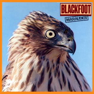 File:Blackfootmarauder.jpg