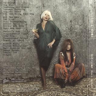 File:American Doll Posse cover back.jpg