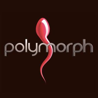 File:Polymorph Records.jpg