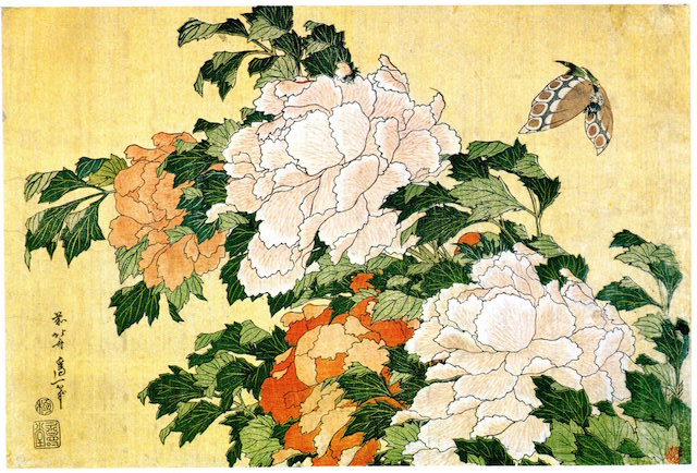 File:Peonies and Butterfly -- Hokusai.jpeg