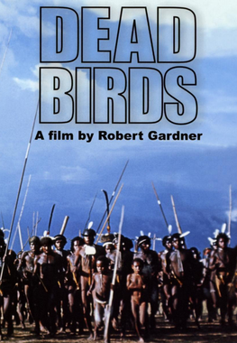 File:Dead Birds (1963 documentary) cover or dust jacket art for film.png