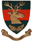 Downpatrick Cricket Club-badge.png