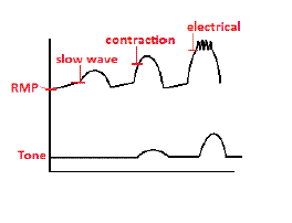 File:ElectricalThresholds.gif