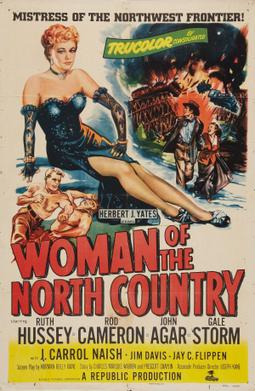 File:Woman of the North Country poster.jpg