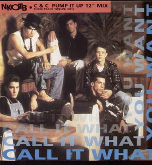 File:Call It What You Want Cover.jpg