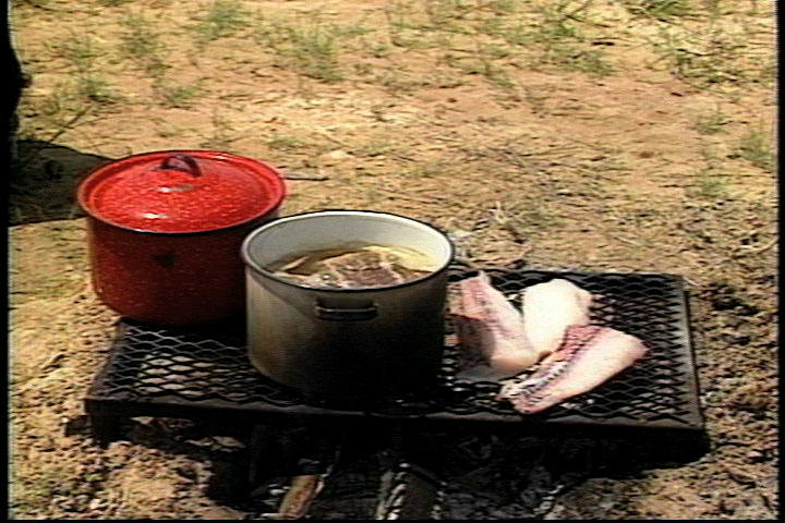 File:Alligator gar fillets on the grill.jpg