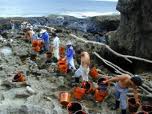 File:Taiwanese residents collecting oil after the 'Amorgos' oil spill.jpg