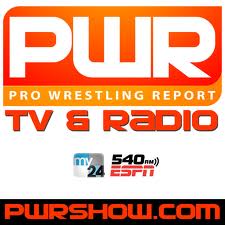 File:Pro Wrestling Report Logo.jpg