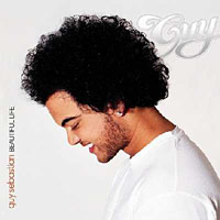 File:Guy Sebastian - Beautiful Life (album cover).jpg