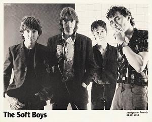 The Soft Boys