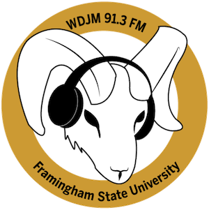 File:WDJM-FM 91.3 logo.png