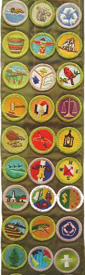 Merit badge (Boy Scouts of America)