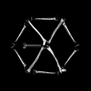 File:Exo - Monster (LDN Noise Creeper Bass Remix).png