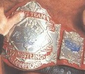 File:USWA World Tag Team Championship.jpg