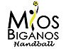Mios Biganos Handball logo.jpg