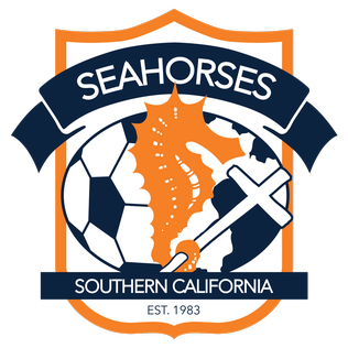 File:Seahorses.png