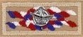 Eagle Scout knot with NESA Outstanding Eagle Scout device.jpg