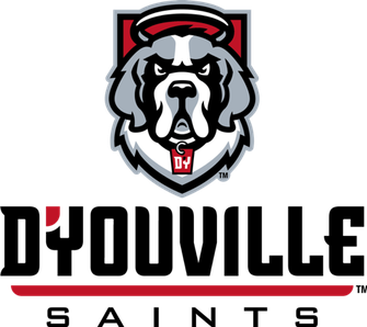 File:D'Youville Athletics Logo.png