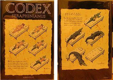 http://upload.wikimedia.org/wikipedia/en/b/b6/Codex-seraphinianus-abbeville.jpg