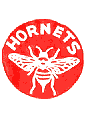 File:PittsburghHornets60s.png