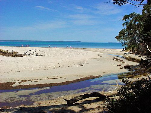 File:Wowly Creek, Callala Bay, New South Wales.jpg