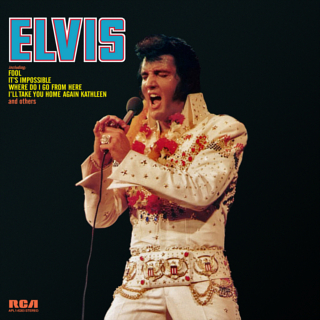 Elvis 1973 artwork