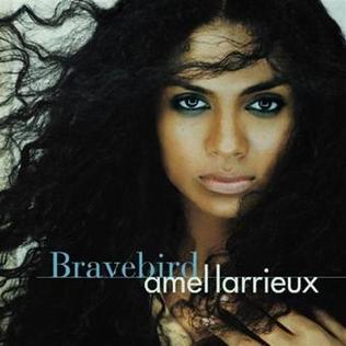 File:Amel Larrieux - Bravebird album cover.jpg