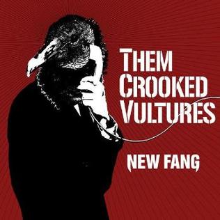 them crooked vultures new  song