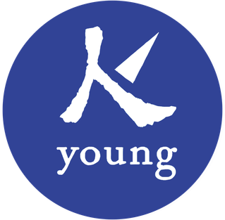 File:Logo of the Kuomintang Youth League.png