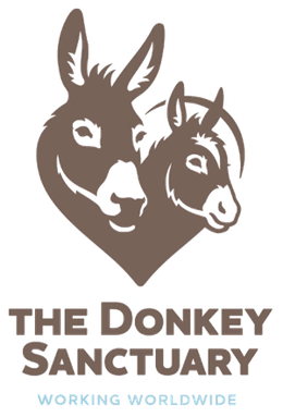 Donkey_Sanctuary_logo.png