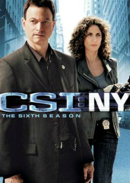 CSI NY, The 6th Season.jpg