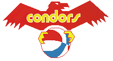 File:PittsburghCondors.png