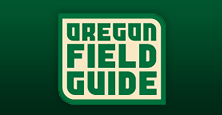 Логотип Oregon Field Guide 2010.png