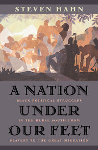 File:A Nation under Our Feet (book cover).jpg