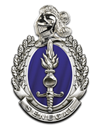 File:Logo of Senegal Gendarmerie.png