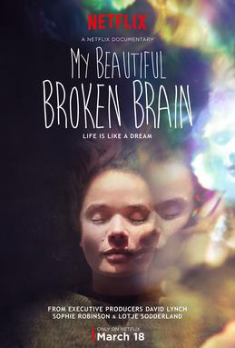 File:My Beautiful Broken Brain poster.jpg