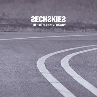 File:Sechskies The 20th Anniversary Digital cover.jpg