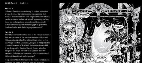 File:The Annotated Sandman Vol. 1, Special Sneak Preview Panel.jpg