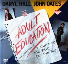 Adult Education (song)