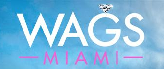 File:WAGS Miami Logo.png