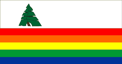 File:Santa Cruz County Flag.gif
