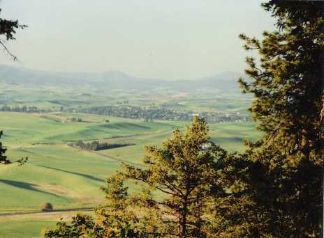 File:View of Palouse, Washington from Kamiak Butte.jpg