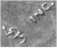 Euro.inscription.engrv.vat.s02.050.jpg