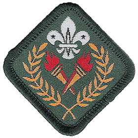 File:HKSAR Scout Award.png