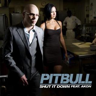 File:Pitbull - Shut It Down (Official Single Cover).jpg