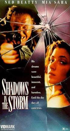 Shadows in the Storm movie