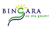 Logo Bingara.png