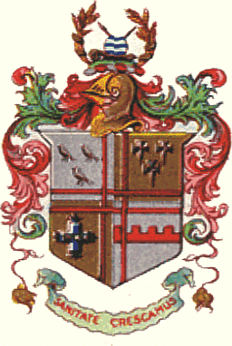 File:Croydon cb arms.png