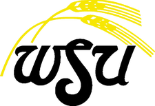 File:Original Wichita State Shockers logo 1980-2009.png