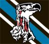 Botswana rugby logo.jpg